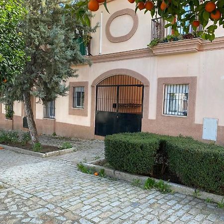 Sevilla. Gerena Casa Rural Para Familia O Profesionales Exterior foto
